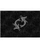 Blackboard 5