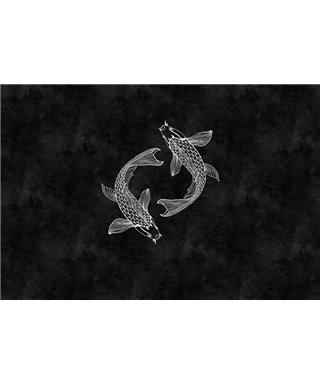 Blackboard 5