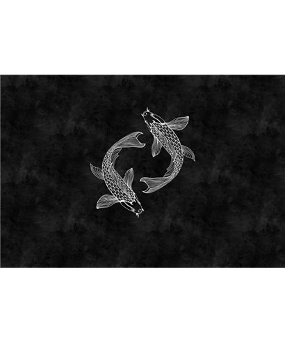 Blackboard 5