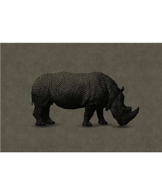 Rhino 1