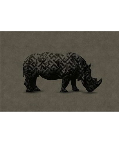 Rhino 1