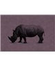 Rhino 2