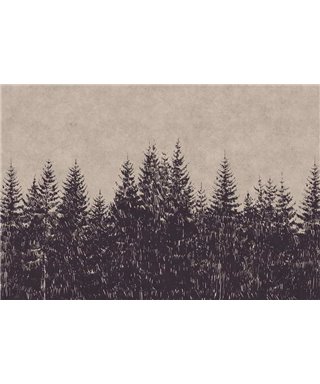 De La Forêt-Noire 1
