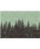 Black Forest 2