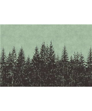 Bosque Negro 2