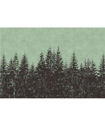 Bosque Negro 2