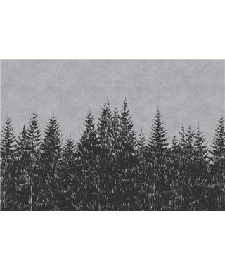 De La Forêt-Noire 3