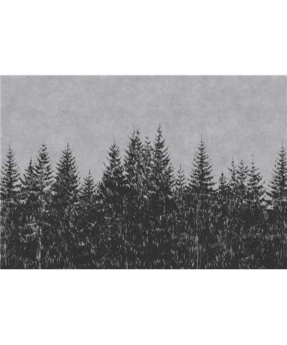 De La Forêt-Noire 3