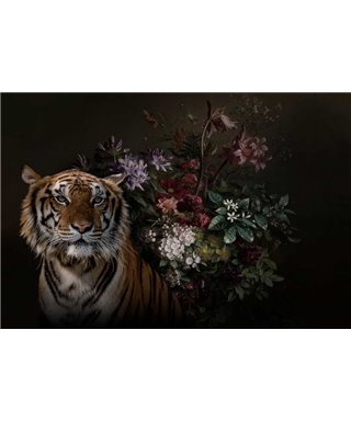 Wildlife 1