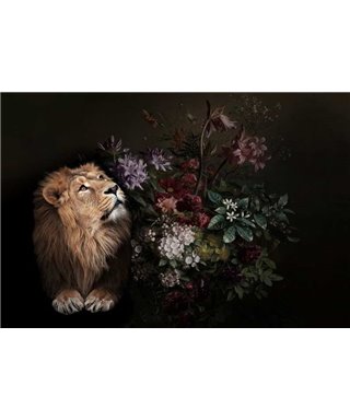 Wildlife 2