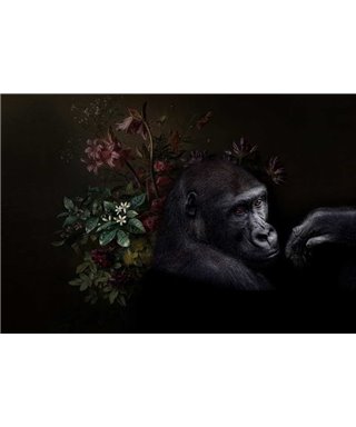 La faune 3