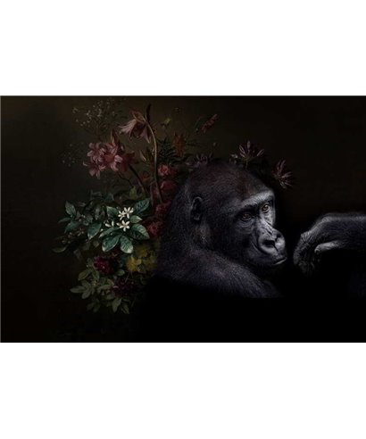 Wildlife 3