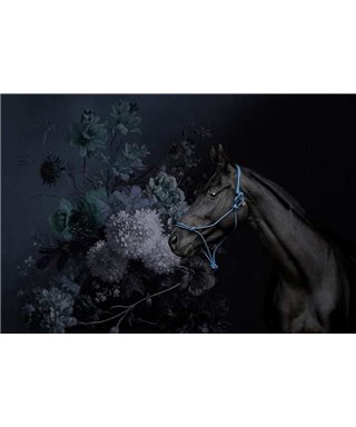 Horses 2