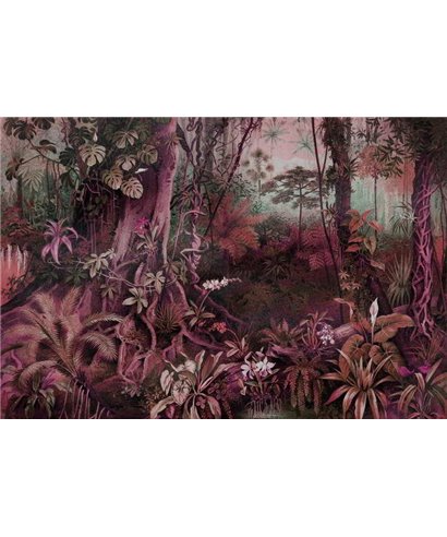 Jungle 1