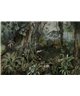 Jungle 2