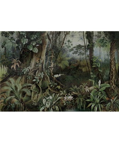 De la Jungle 2