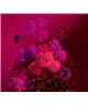 Bouquetvibran2
