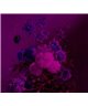 Bouquetvibran3