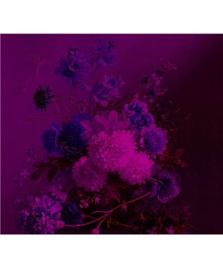 Bouquetvibran3