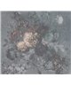 Ramo Gris 1
