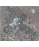 Ramo Gris 2