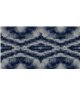 Indigo Canvas1