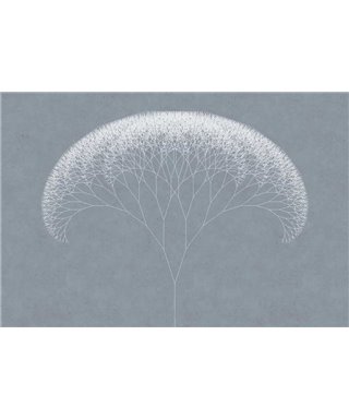 Trees 2