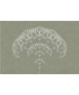 Les arbres 3