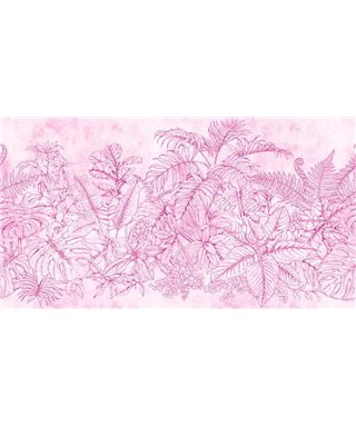 Fern Garden 2