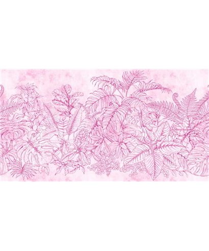 Fern Garden 2