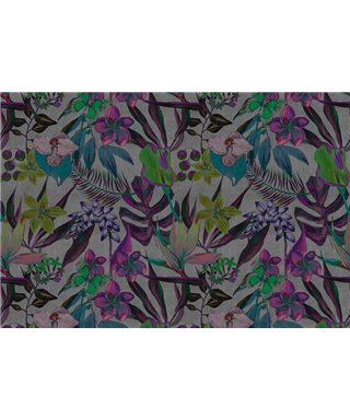 Exóticos De La Noche 2