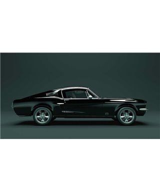 Mustang 1