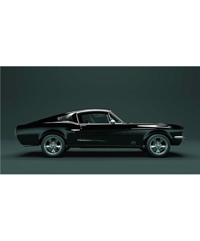 Mustang 1