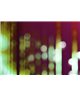 Bigcitylights1