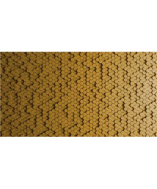 Honeycomb 1