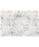 Carrara 1