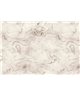 Carrara 2
