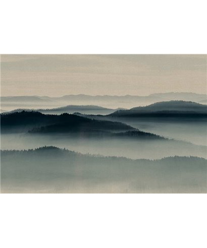 Horizon 1