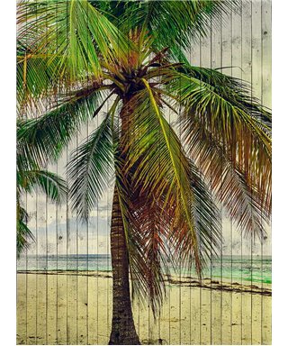 Tahití 3