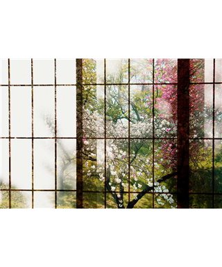 Orchard 1