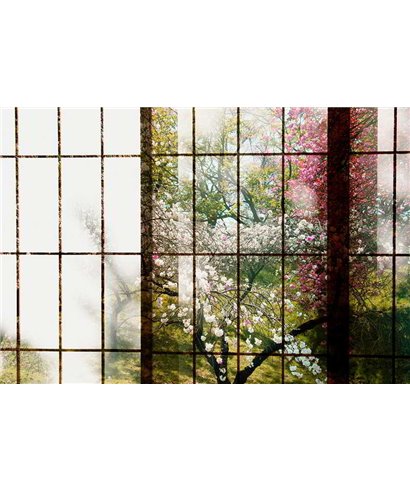 Orchard 1