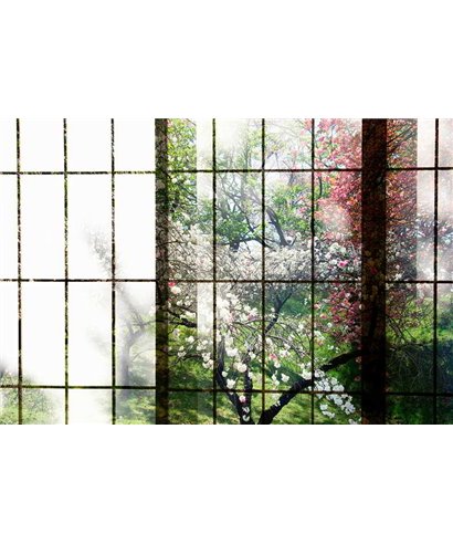 Orchard 2