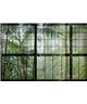 Rainforest 1