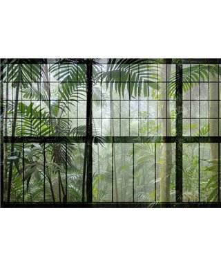 Forêt 1