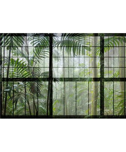 Rainforest 1