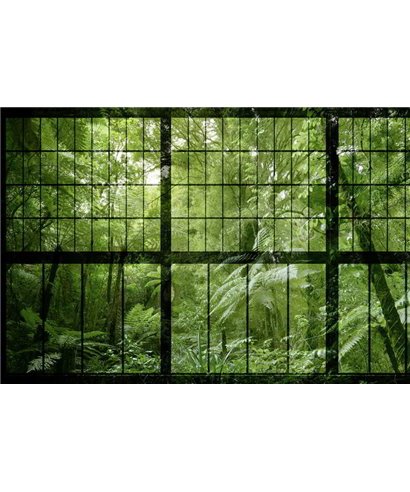 De la selva 2