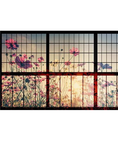 Meadow 1