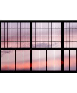 Sky 1
