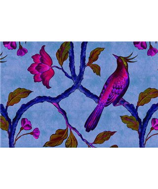 Birdofparadis1