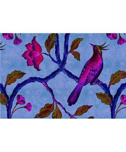 Birdofparadis1